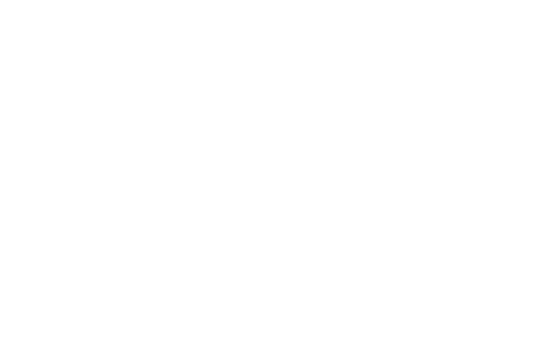 Big Sky Charter and Fishcamp Kenai River Alaska Logo Stacked